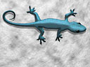 gecko